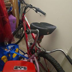 Roadmaster Bike