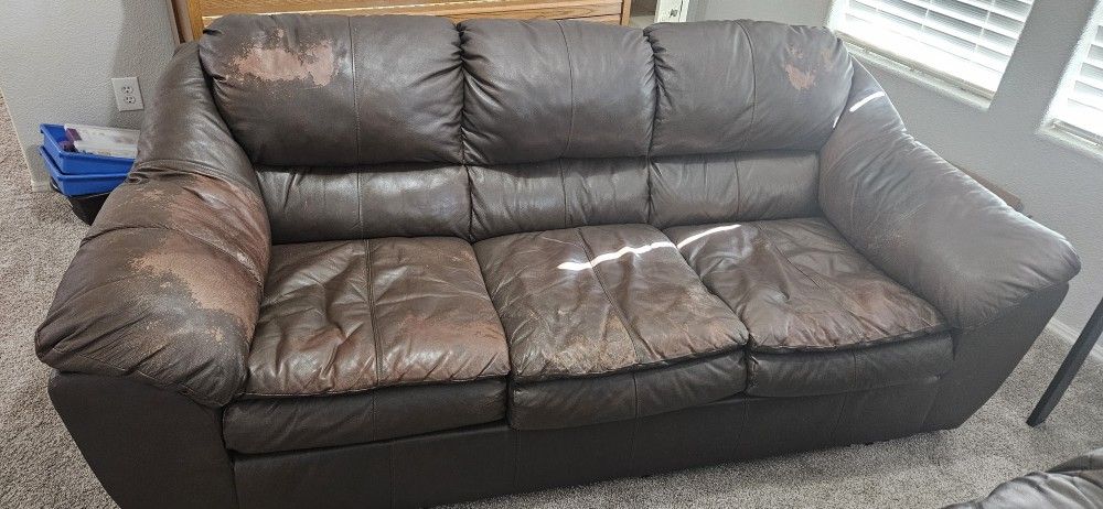 Couches