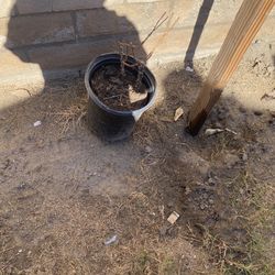 Pottery Planting Plant Pots Containers $5.00