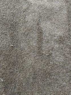 Carpet Free !!!!