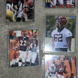 Bengals Picture Autograph 