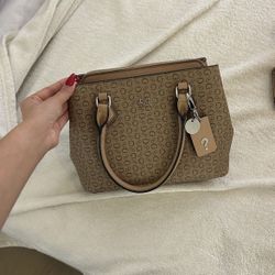 Guess Bag
