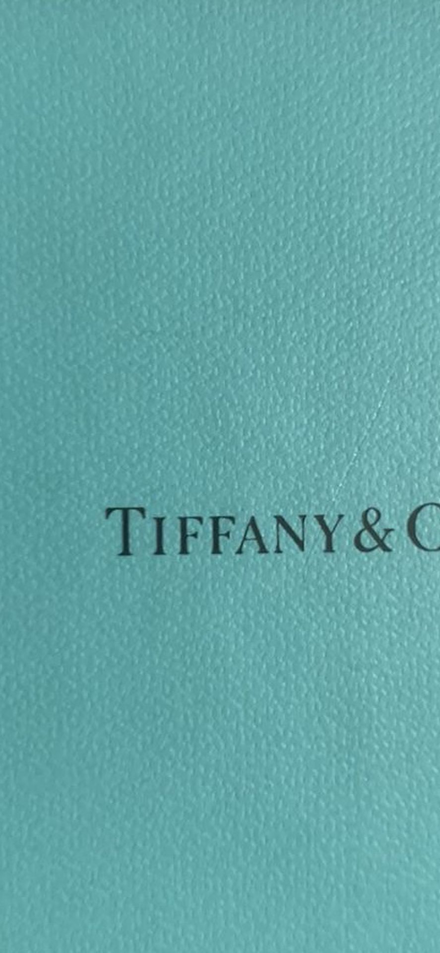 Tiffany Bead Necklace