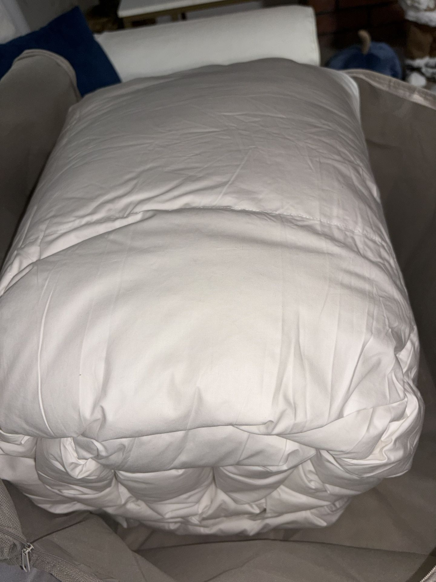 Martha Stewart Luxurious Goose Feathers Down Comforter Twin Size 100% Cotton Duvet Insert