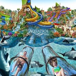 Tickets- Theme Parks