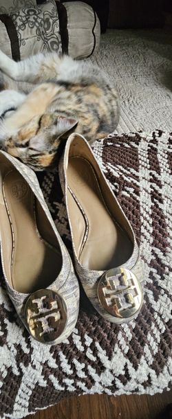 Tory Burch 👞