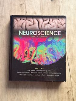 Neuroscience 6th edition Dale Purves
