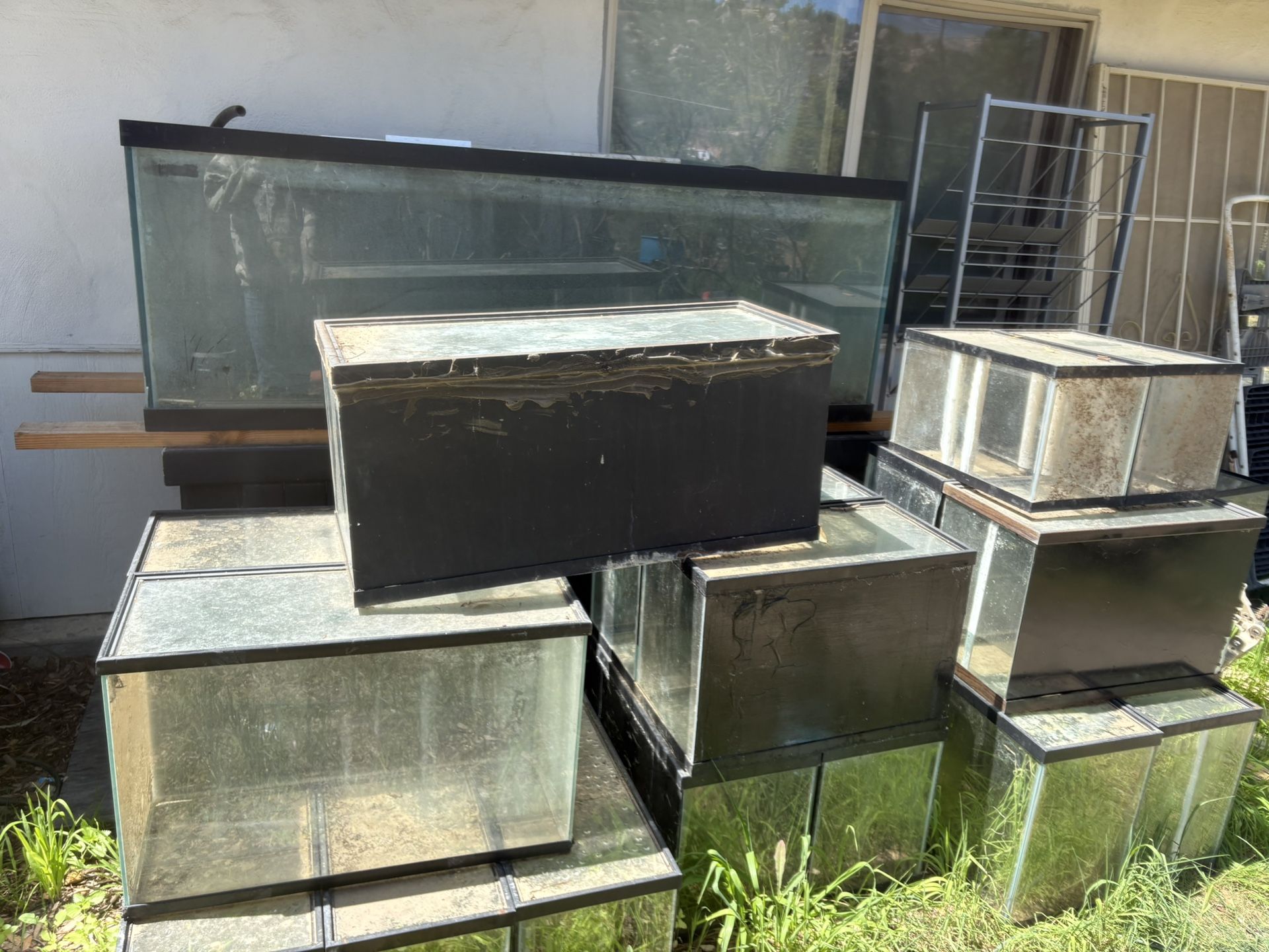 Fish Tanks