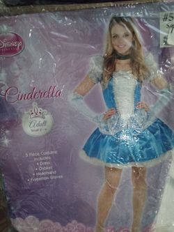Cinderella Costume