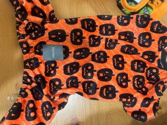New dog outfit