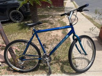 Raleigh mountain bike