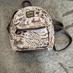 Lounge Fly Backpack