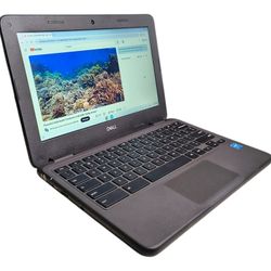 DELL Chromebook 3100 11.6"