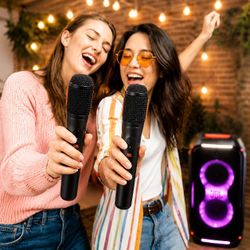 Wireless Microphone Set