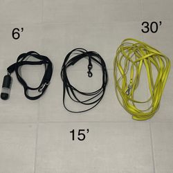 Dog Leashes
