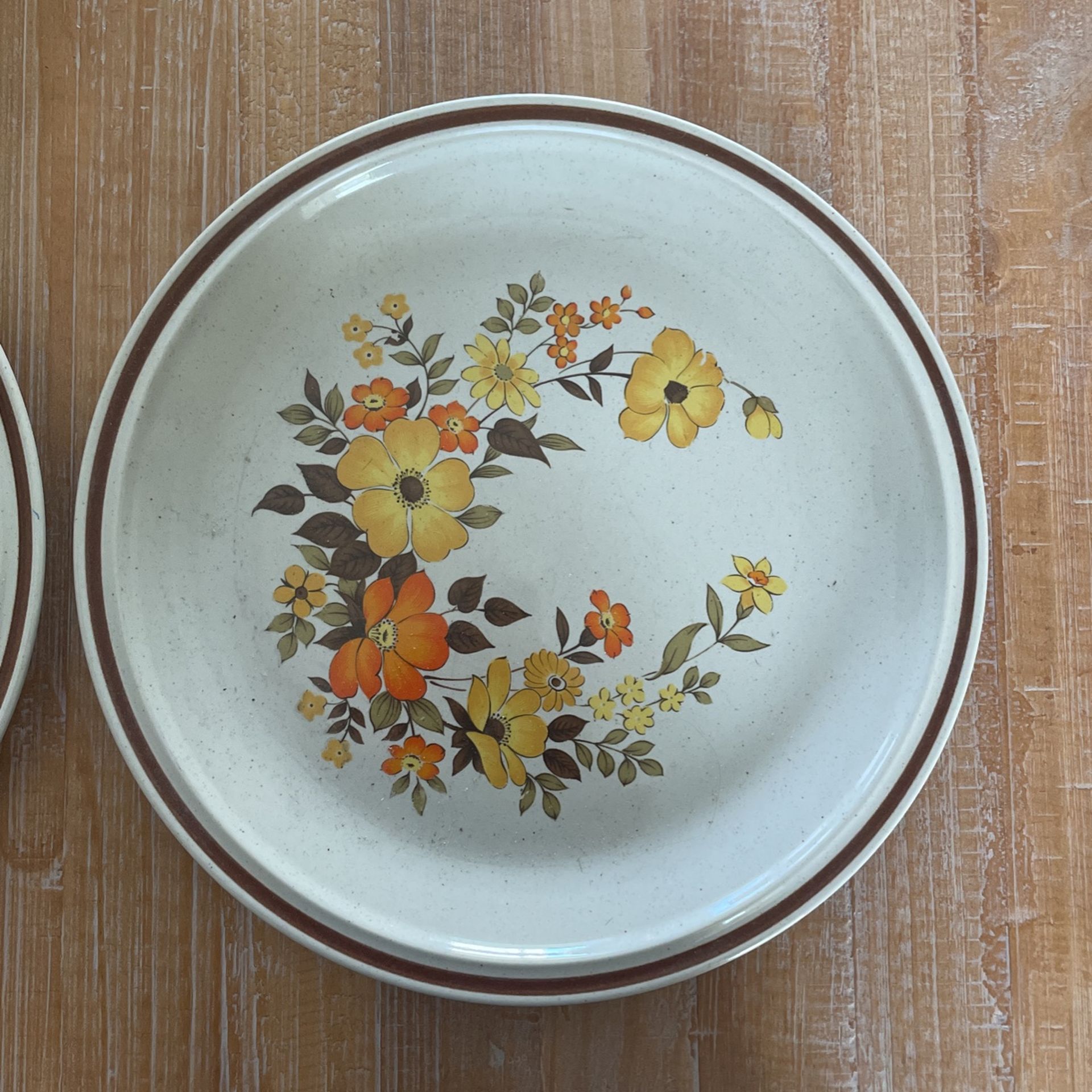 Set Of 8 Chablis By Hearth side Casual Elegance Vintage Plates