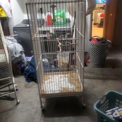 Bird Cage