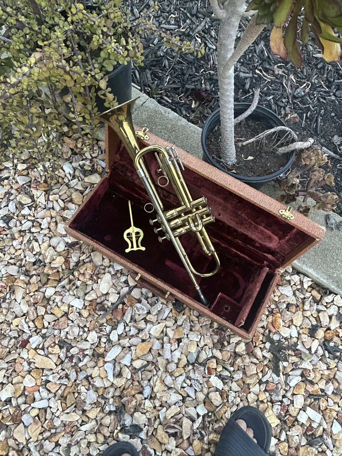 Great 💕💕💕 Vintage Trumpet 🎺