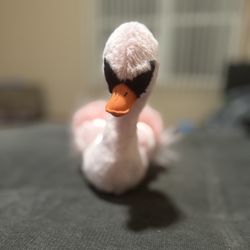 Beanie Baby