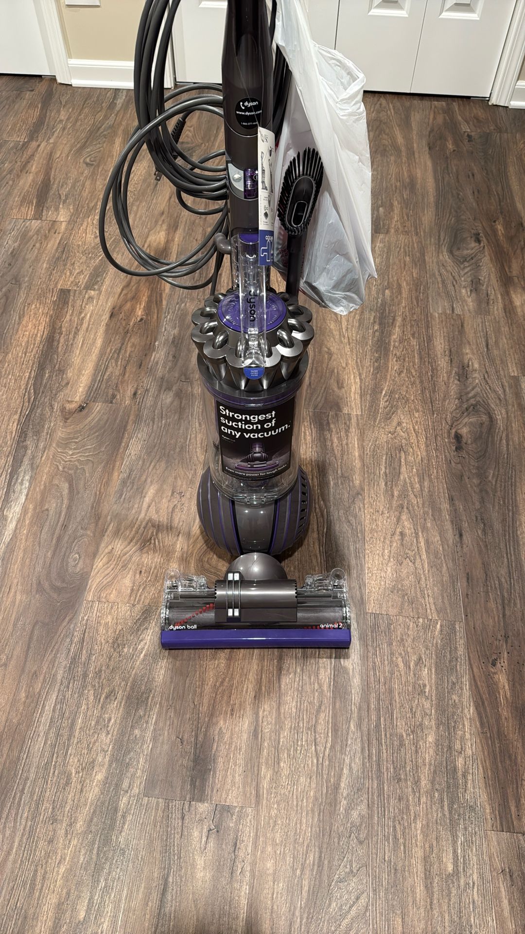 Dyson Ball Animal 2