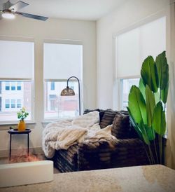 sofa for sale