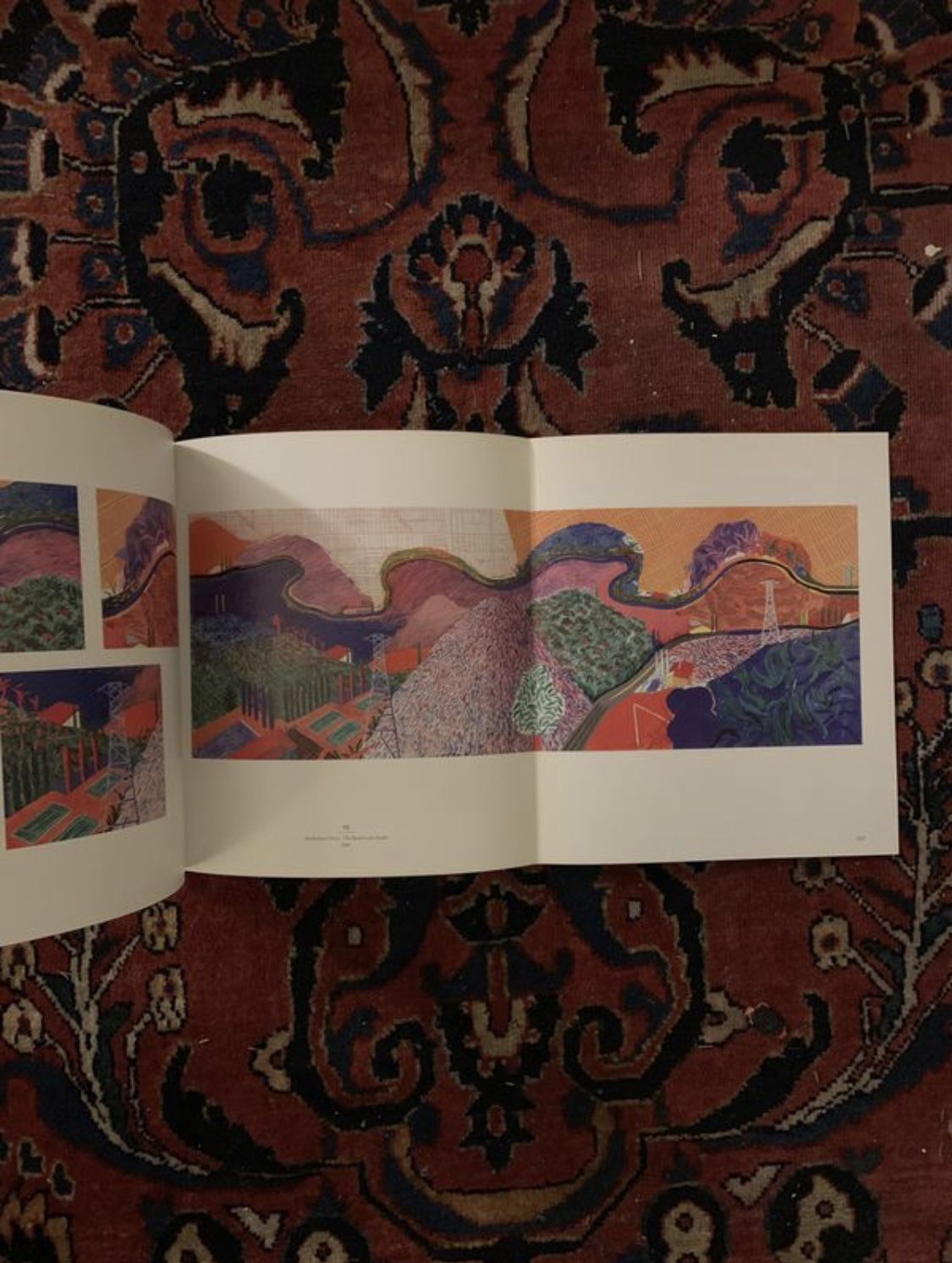 David Hockney: A Retrospective Art Book