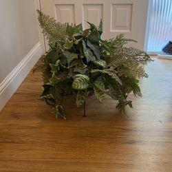 Fake Plant Display