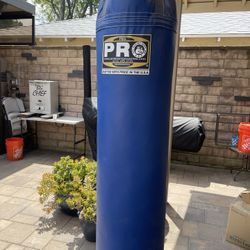 Boxing Punching Bag