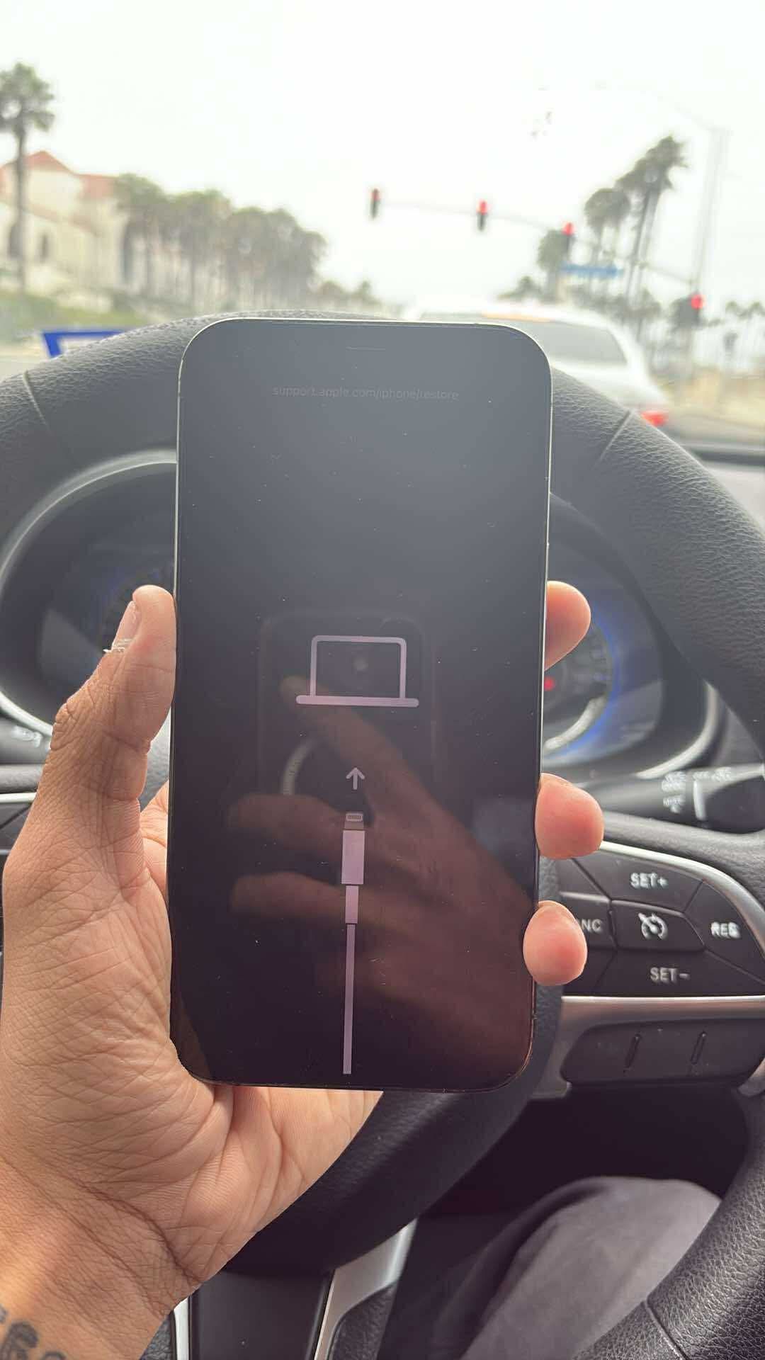 iPhone 12,13 Pro Max(ICLOUD LOCKED)