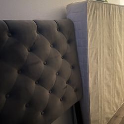 Headboard Bed Frame And Box Spring (no Mattress)