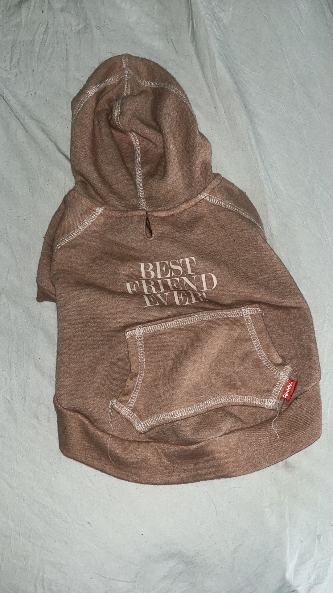 Small Dog Hoodie