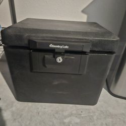 Sentry Safe Small