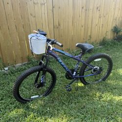 adult mountain bike 