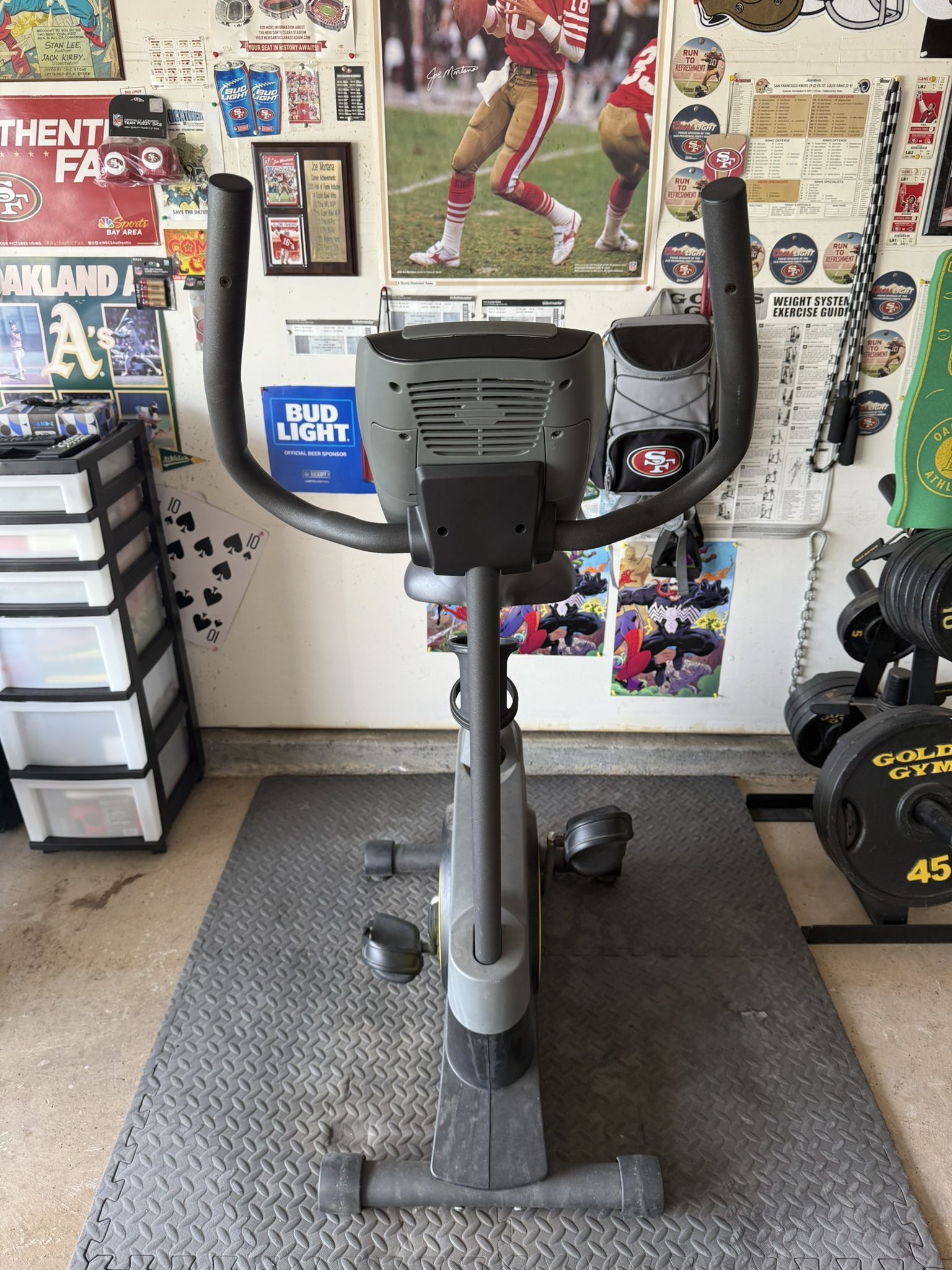 Gold's Gym 290C Cycle Exercise Bike