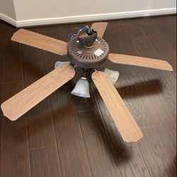 Ceiling Fan With Light 