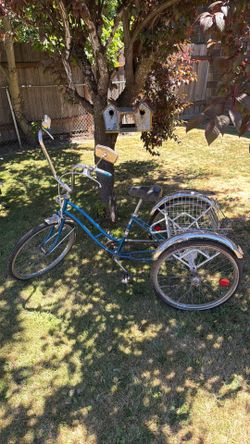 Western flyer tricycle