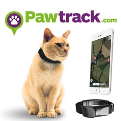 PawTrack CAT GPS Collar (x2)