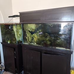 90 gallon and 60 gallon reef tank aquarium