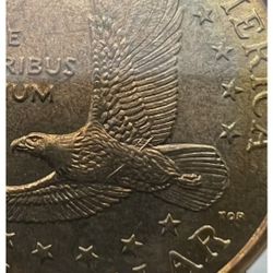Wounded Eagle