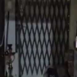 Folding Security Gate