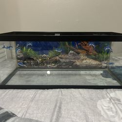 Fish Tank 