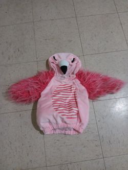 Flamingo