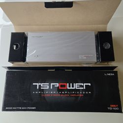 Ts Power TD-100 Amp