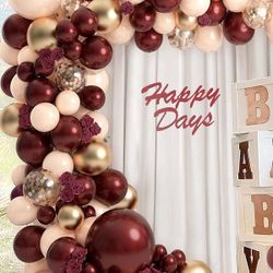 Balloon  Arch & Party Decoration 