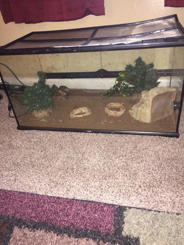 Reptile 40 gallon tank for sale !!! With ball python