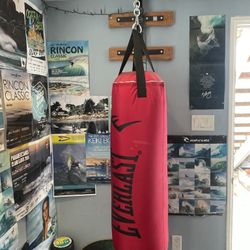 Punching Bag (80lbs)