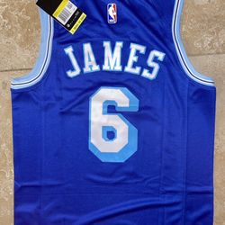 Los Angeles Lakers LeBron James Royal Hardwood Classics 2020/21 Jersey