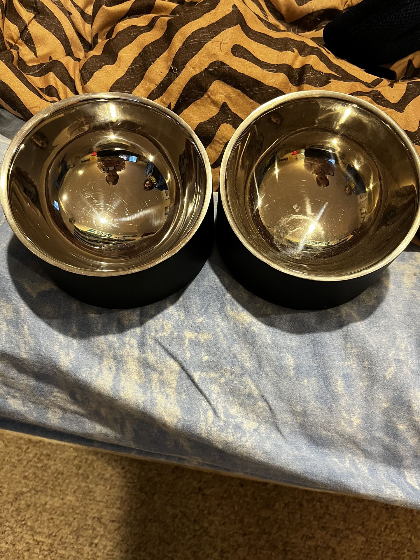 Cat Or Dog Bowl 