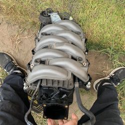 5.0 Mustang intake manifold