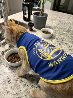 Cat Clothing